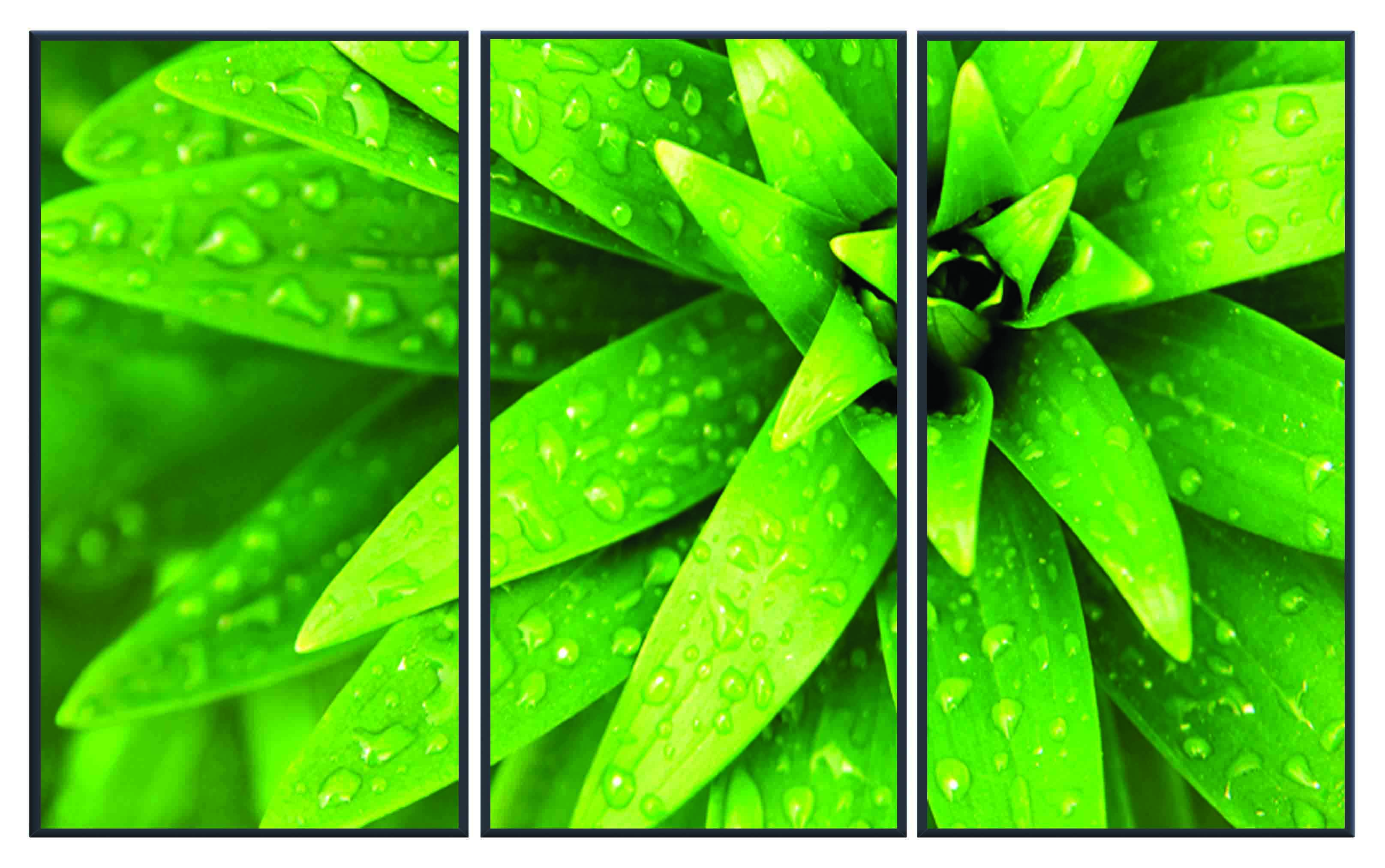 ASG260 Wall décor art printed on glass botanical set of 3